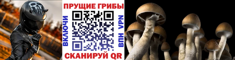 как найти наркотики  Островной  Галлюциногенные грибы мухоморы 